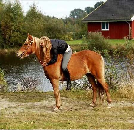Ferienhaus Am See Twist